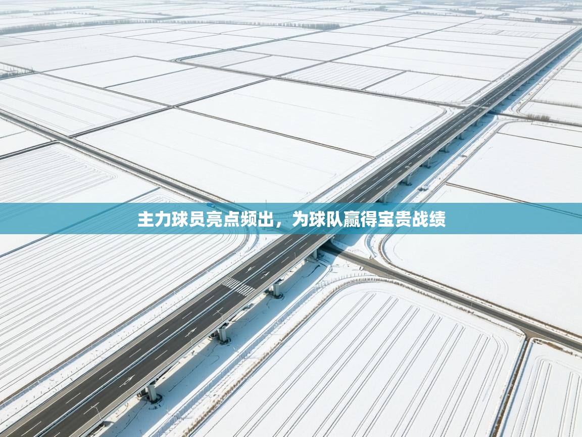 主力球员亮点频出,为球队赢得宝贵战绩 第2张