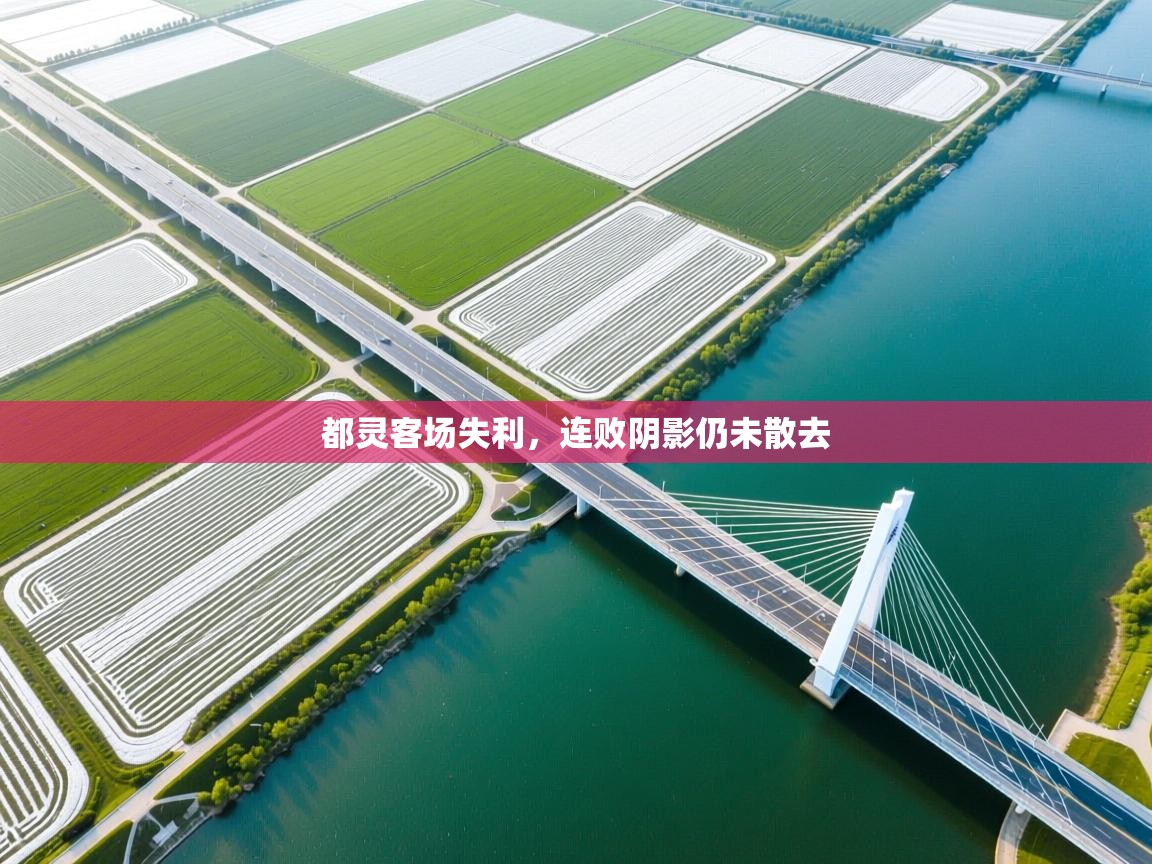 都灵客场失利,连败阴影仍未散去 第2张