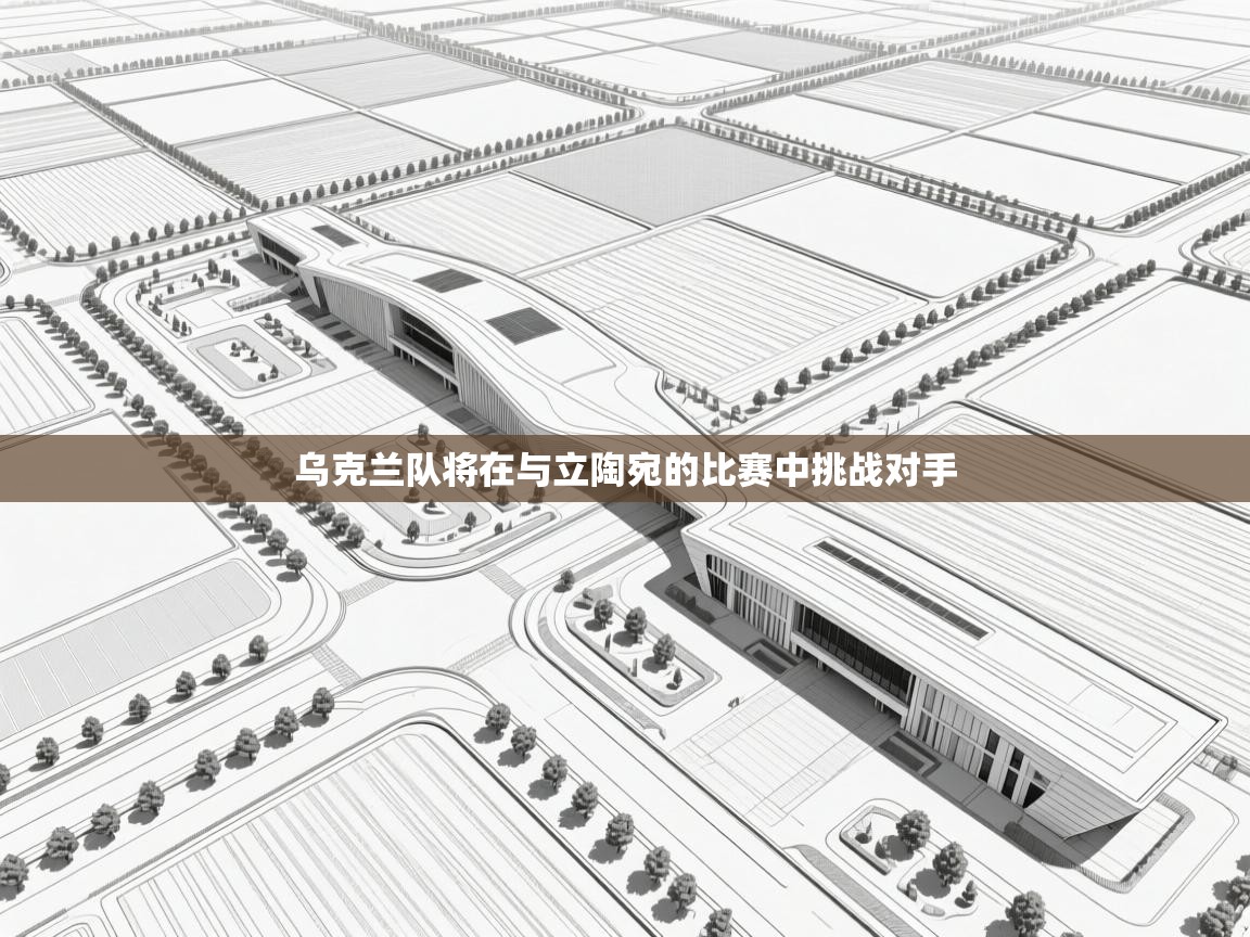 乌克兰队将在与立陶宛的比赛中挑战对手  第2张