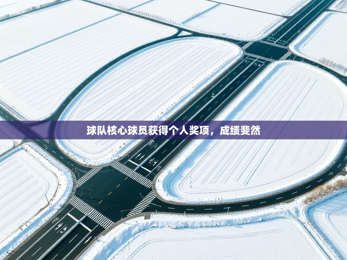 球队核心球员获得个人奖项，成绩斐然  第1张