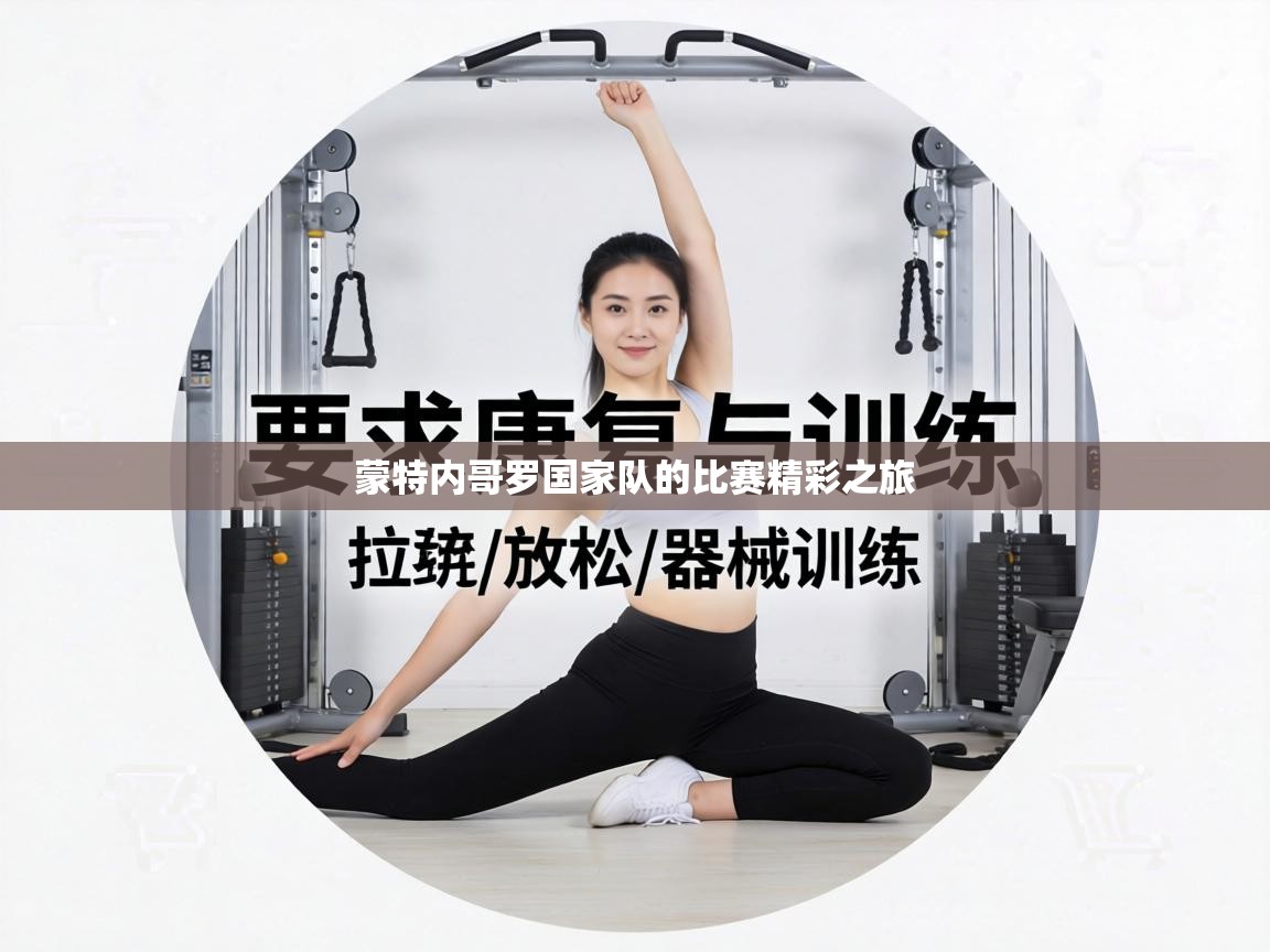 蒙特内哥罗国家队的比赛精彩之旅 第1张