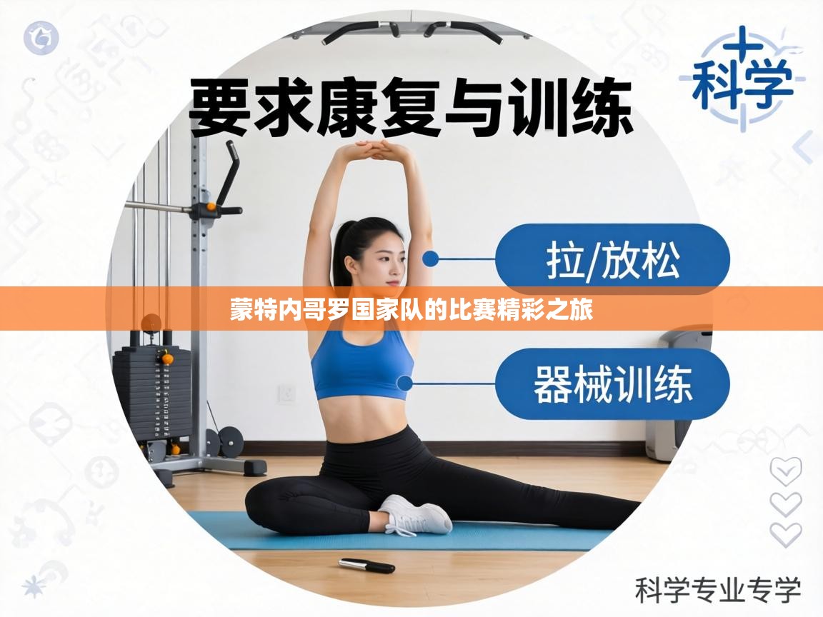 蒙特内哥罗国家队的比赛精彩之旅 第2张